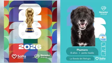 En Salta lanzan figuritas con perros mundialistas para impulsar adopciones En Salta lanzan figuritas con perros mundialistas para impulsar adopciones
