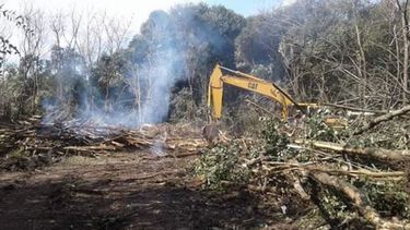 TALA. Los amparos piden evitar que siga el desmonte del predio..