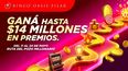 bingo oasis pilar inaugura la ruta del pozo millonario bingo oasis pilar inaugura la ruta del pozo millonario