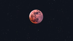 Habitar la Luna sigue siendo el objetivo de muchos. Se espera que a largo plazo se construyan edificios y casas con impresión 3D.