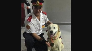 DUPLA. Ringo con su dueño, el Ayudante Mayor Leonardo Silva.