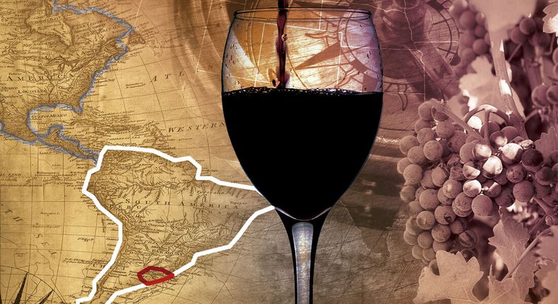 La historia del vino. (folhape.com.br)..jpg