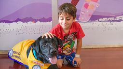 El Hospital Garrahan implementó por primera vez la terapia asistida con perros