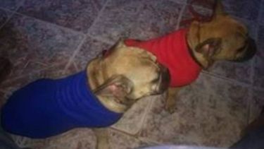 Franco y Mica, perdidos