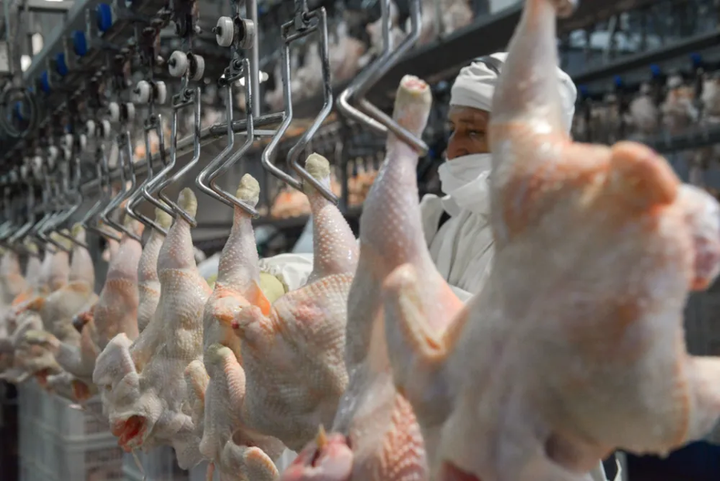 BARATO. El pollo se consigue a menos de 3 mil pesos por kilo en los supermercados.