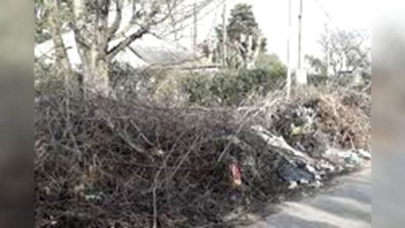 Pregunta seria! Funciona #mimuni? Desde agosto haciendo reclamos para que junten ramas en Teniente General Juan Domingo Perón, entre Alerces y Casuarinas, Manuel Alberti, y ni noticias. Toda la Perón es una mugre intransitable. Por favor atención a nuestro reclamo. Pablo Sabbath / @Pabloklos..