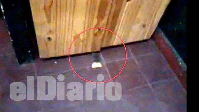 El momento capturado por el video cuando la rata sale a comer una galletita..
