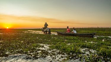 esteros del ibera, el destino argentino mas fascinante