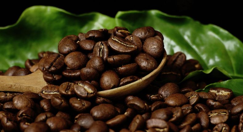 Curiosidades del café. (lajoyadelcafe.com).