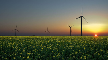 Las empresas YPF Luz y Cementos Avellaneda firmaron un memorándum de entendimiento para desarrollar un proyecto de generación de energía eléctrica renovable.