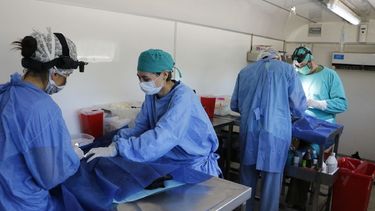 Cronograma del Quirófano Veterinario Móvil en enero
