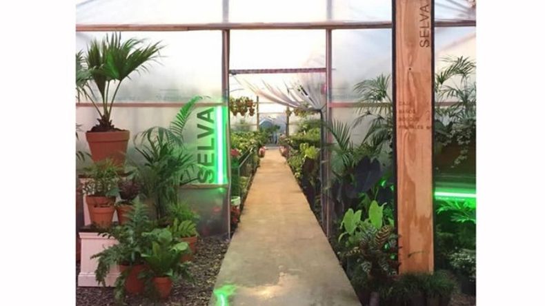 BIENVENIDOS. Herbarium abre todos los días, en el corazón del K50..
