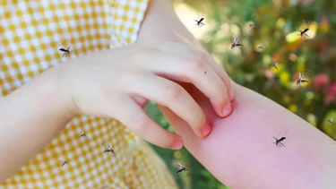 ¿Cuál es el mejor repelente contra los mosquitos?