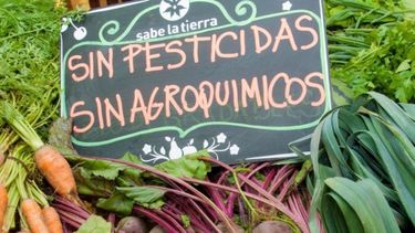“SIN PESTICIDAS”. Productos naturales, tendencia en alza..