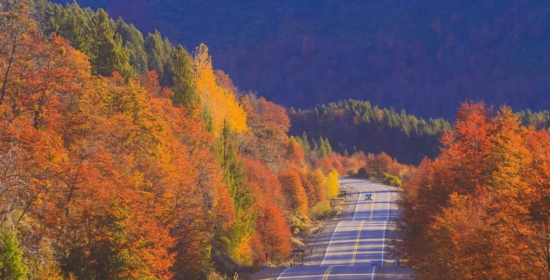 Rutas argentinas imperdibles. (rionegro.com.ar).webp