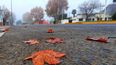 Luego de una mañana de neblinas, el Servicio Meteorológico Nacional anticipa una tarde con 21°C y sin amenaza de lluvias en Pilar.