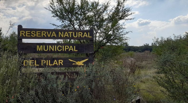 La primera edición del cine debate de la Reserva Natural tendrá como eje a los humedales.&nbsp;