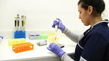 LABORATORIO. El kit comenzó a desarrollarse ni bien se declaró la pandemia. Se producirán 100 test por semana. .