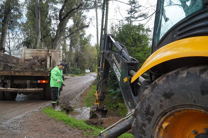 Cuadrillas municipales trabajan en los barrios de Pilar tras la tormenta.