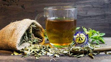 plantas de la pascua: la pasiflora, la flor de la pasion