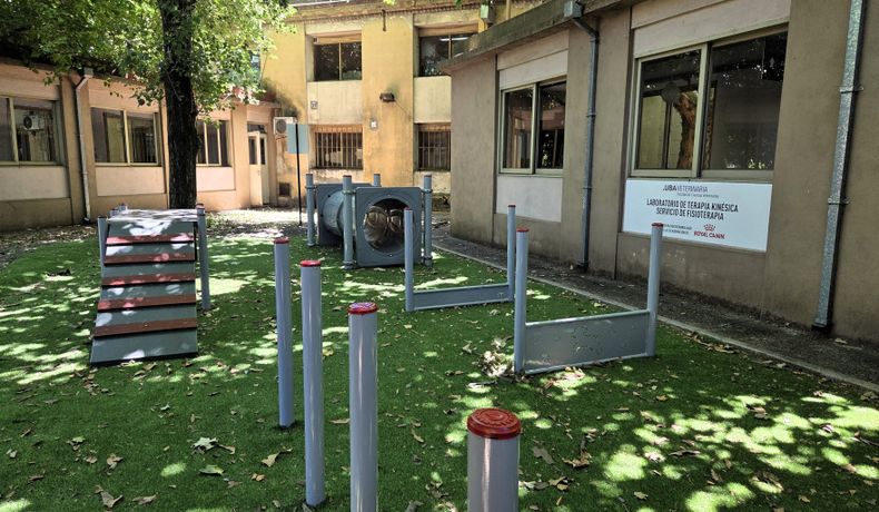 La UBA estrenó un laboratorio kinésico para perros y gatos. (Royal Canin Argentina).