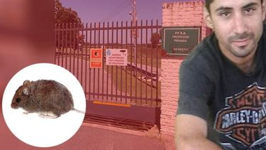 POR PREVENCIÓN. FV cerró sus puertas y licenció a todo el personal. VÍCTIMA. Pablo Mediavilla tiene 26 años y vive en Garín. .