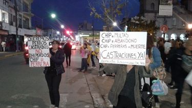 Marcha. El miércoles, grupos de proteccionistas se manifestaron en la plaza 12 de Octubre. .