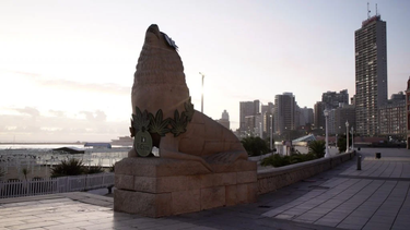 El tradicional lobo marino de Mar del Plata amaneció con&nbsp; un collar de cannabis y cáñamo