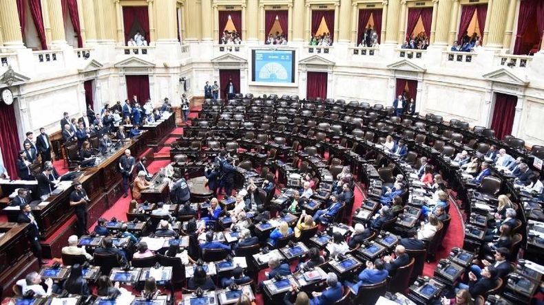DOS TEMAS. Además de la moratoria, los diputados tratarán la historia clínica digital. .
