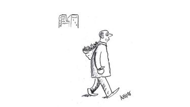 Humor