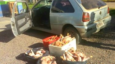 Detenidos por transportar productos avícolas sin precauciones