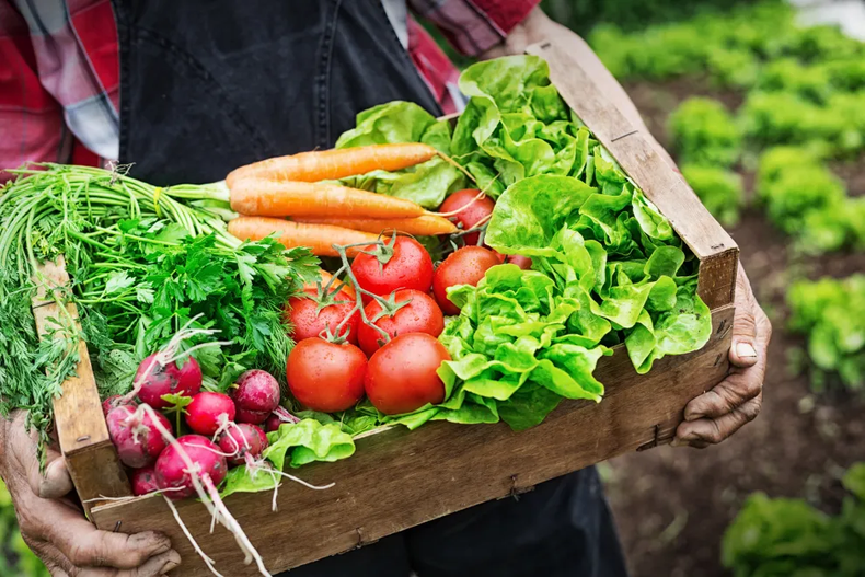 Huerta en Primavera. (Getty)..png