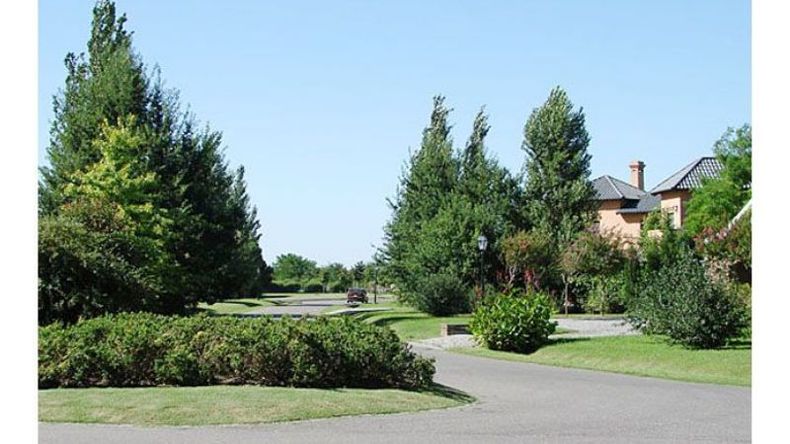 f800x450 42399_93845_5050.jpg