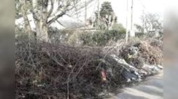 Pregunta seria! Funciona #mimuni? Desde agosto haciendo reclamos para que junten ramas en Teniente General Juan Domingo Perón, entre Alerces y Casuarinas, Manuel Alberti, y ni noticias. Toda la Perón es una mugre intransitable. Por favor atención a nuestro reclamo. Pablo Sabbath / @Pabloklos..