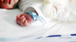 En Pilar nace un 31% menos de chicos que hace cinco años. En Pilar nace un 31% menos de chicos que hace cinco años.