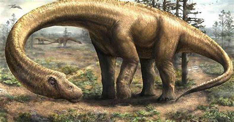 Encuentran en Chubut una nueva especie de dinosaurio. (blogspot.com)..png