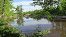 PARQUE. El paseo costero en la Reserva preocupa a los ambientalistas..