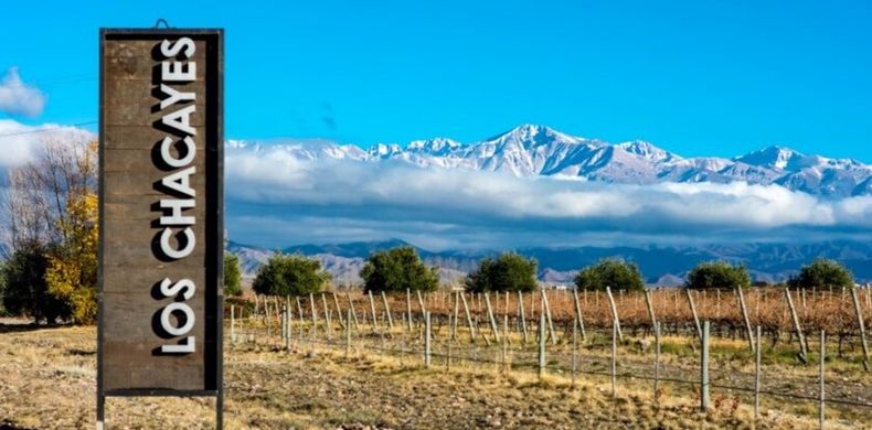 Los Chacayes y La Cordillera de los Andes. (Subsecretaría de Turismo de Nación)..jpg