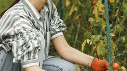 Huerta en casa: ¿Qué cultivar en enero?