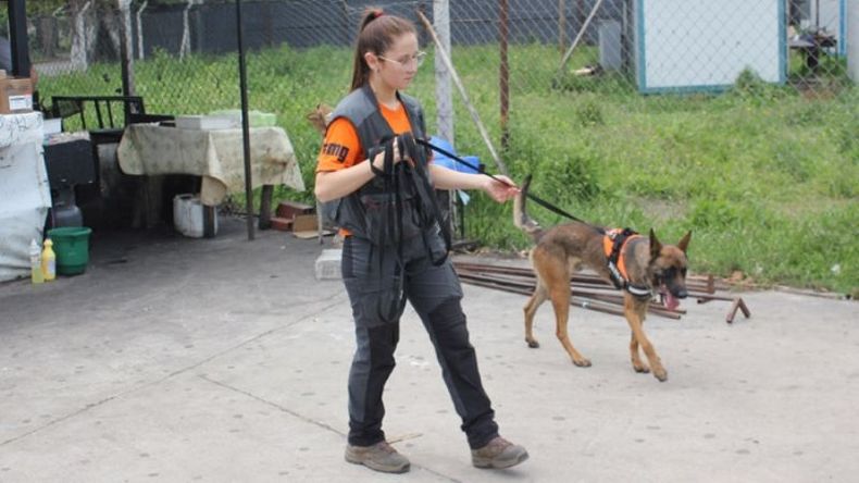 RASTREO. Con perros, policía y bomberos buscaron a Tobías en la zona de la estación. .