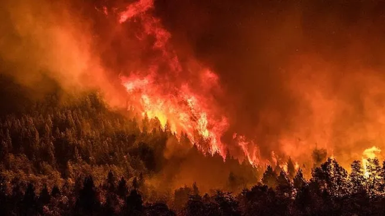 Incendios forestales en el Parque Nacional Nahuel Huapi. (ambito.com)..png