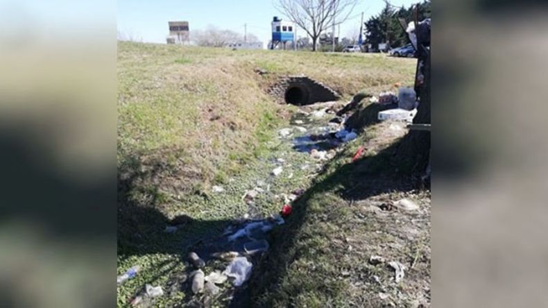 Soy vecina del kilómetro 45,500 y todos los días veo cómo los comercios tiran esta basura. Por favor, queremos vivir en un lugar limpio. Son locales hermosos, nuevos, donde atiende a muchos clientes. La remisería tiró 20 botellas a la zanja. Si pueden hacer algo. Muchas gracias. Elisabet Salerno..