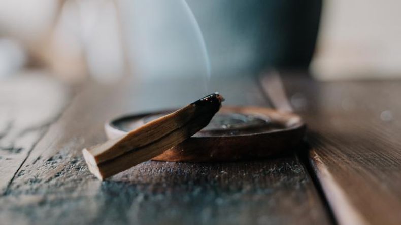Palo santo. (bioguia.com).