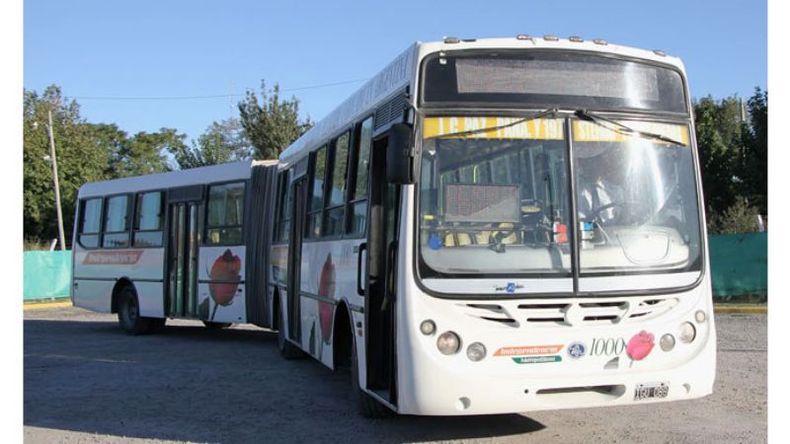 BANDONEÓN. Las unidades circularán entre las 17 y las 18..