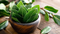 Hojas de laurel para atraer buenas energías y abundancia económica, según el Feng Shui