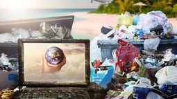 El consumidor sustentable es consciente, informado y complejo