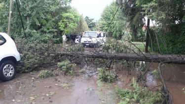 Fuertes tormentas producen inconvenientes en distintos barrios