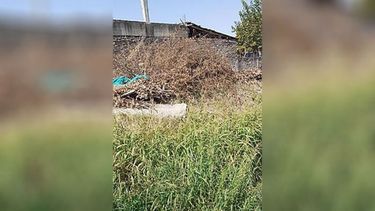 Correo de lectores: Piden por la limpieza del arroyo Pinazo