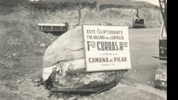 Hallazgo de restos de un gliptodonte en una tosquera del barrio Carabassa, en la década del 60..