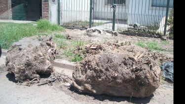Foto denuncia